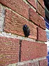 Bats  |  Was it a small one truly mouse sized? The young ones are flying about  now and...