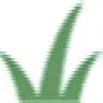 grow grass OR go to jail  |  I will want to go to jail for 2 days if that will be the end of the deal. So I...