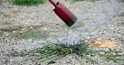 weeds already |  Not exactly a pre-emergent control. You have to have some leaves toburn. Unless...