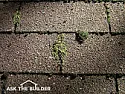 Advice for moss and algae on asphalt roof shingles |  Considering it recently started on the siding along with the relativelynew...