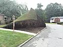 Fallen Tree Pulls Up Entire Lawn   |  I don't think [m]any trees have tap roots do they?  I've certainly never...