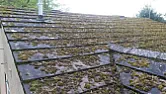 Moss algae killer  |  Previously used all sorts to kill moss & algae on back garden paving  slabs a...