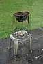 Squirrel/big bird-resistant feeder, ideas? | &laquo; previous thread