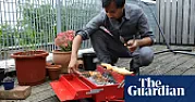 Gas barbecue - what we chose in the end | next thread &raquo;