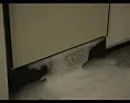 Leaky Dishwasher | &laquo; previous thread
