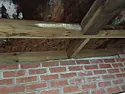 Mouldy workshop roof  |  New house has a brick built workshop with a much neglected flat roof, felt over...