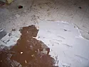Laying vinyl tile over concrete floor |  Our floor is a finished concrete (common in 1950s ranch homes inPhoenix. There...