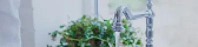 Water Softener help |  You probably have some good points but I know they are not going to clean the...