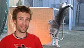 cat water deterrent | next thread &raquo;