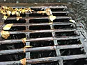 rains hard water stands in yard then water comes under foundation of house | &laquo; previous thread