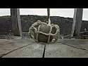Centrifugal force in the washing machne  |   I never did bother to calculate the centripetal/centrifugal forces for  our...