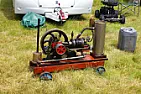 will the small engine 2stroke adjust. work the same for a homelight hedge trimme | &laquo; previous thread