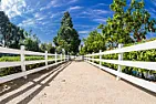 Florida Fence Posts | next thread &raquo;
