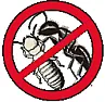 Arrrghhh! Ants! |  Following up to myself, they look like:...