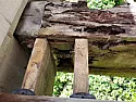 dry rot  |  There is no such thing as dry rot.  All rot is wet rot.  People have  called it...