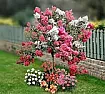 Yankee ignorance |  Paul,Not sure about your first entry but #2 would be a crape (crepe) myrtle.What...