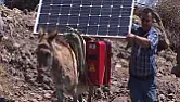 Donkey power?  | next thread &raquo;