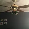 Ceiling Fan Canopy won't come off  |  I'm replacing an old, outdated ceiling fan from 1987.  It was  here when we...