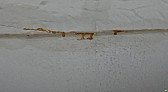 Sudden ooze from ceiling crack