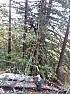 Building a treehouse in the redwood grove of a neighbor (pics included)  |  Seymore4Head wrote, on Tue, 30 Sep 2014 15:57:42 -0400: He's about 6'2"...