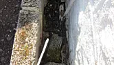 Basic soakaway |  My extension has been up for some years but I've never got around...