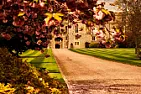 Grand Designs again |  Well it is called 'Grand Designs' and not 'Back-to-back...