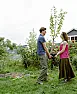 Moving an apple tree...  |  We've just purchased a new cantilever glass veranda for our gardenpatio. At...