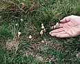 Help  | &laquo; previous thread