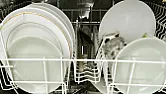 Hotpoint Dishwasher Fire Alert  | &laquo; previous thread