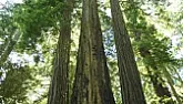 Rot in window sill  |  And the very first hit there is:    ...
