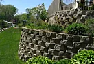 Which vine(s) for this type of wall? | next thread &raquo;