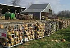 Gourds  |  I bought a couple of small gourds today at the grocery store, I'm not sure...
