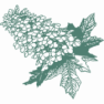 Good atlas for Georgia plants? | next thread &raquo;