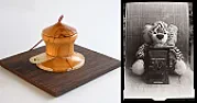 Camera Lens Was Made Out of Wood  |  Very nice...