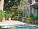 landscape/garden maintenance on hills  |  Depends on the amount of slope.  I have got grass to grow on a steepslope, but...