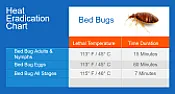 What do you think of this plan to get rid of bedbugs? |  I wanted to get your reaction to this plan.  I don't have bedbugs. It's...