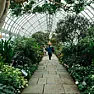 [SM] the healing power of gardens  | next thread &raquo;