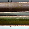 Green deposit on inside half of half inch cold water copper pipe |  We had a water leak and the plumber cut out a 3 ft. length of half inch...