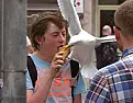 Seagulls  | &laquo; previous thread