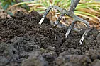 DIY - soil improvement project  |  In my case I do not need to increase the fertility - it is fine, just  the tilth...