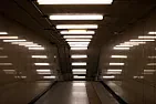 small fluorescent tube life |  Lots of possibilities.How do they die?...