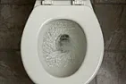 EU to flush your money down your toilet?  |  I can remember it well enough.  The Common Market came to be rebadged as the...