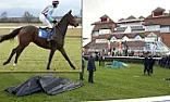 Re: 2 horses electrocuted at Newbury races | next thread &raquo;