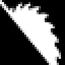 Carbide.com and USPS ^Thumbs up^ | next thread &raquo;