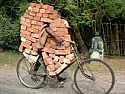 Fetching bricks  | next thread &raquo;