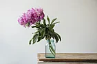Preservative for cut flowers in vase.  |  Start with a clean vase.  Scrub away any crud that dried on from itslast use. ...