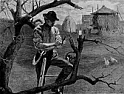 apple trees from seed  |  zxcvbob  wrote innews:snipped-for-privacy@mid.individual.net: great is actually...