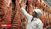 Fishing.  |  In article     snipped-for-privacy@4ax.com,    T i m    ...