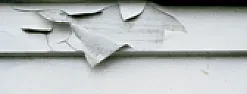 Exterior latex primer?  | next thread &raquo;