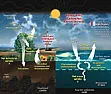 Re: HEAT !!! | &laquo; previous thread